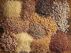 dry grain