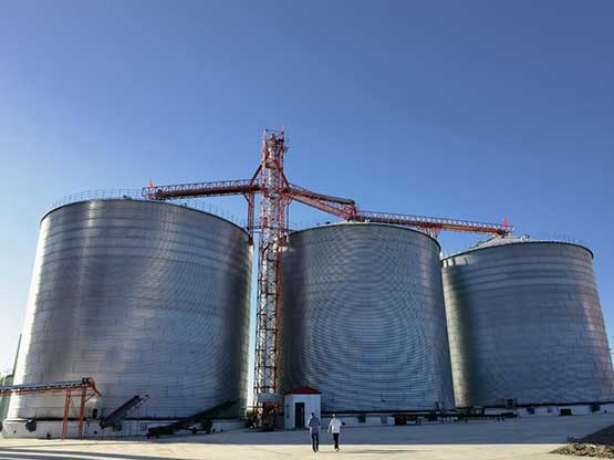 Farm Silo System Solution Supplier
